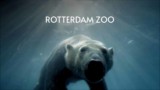 Recommended Hotels in Rotterdam